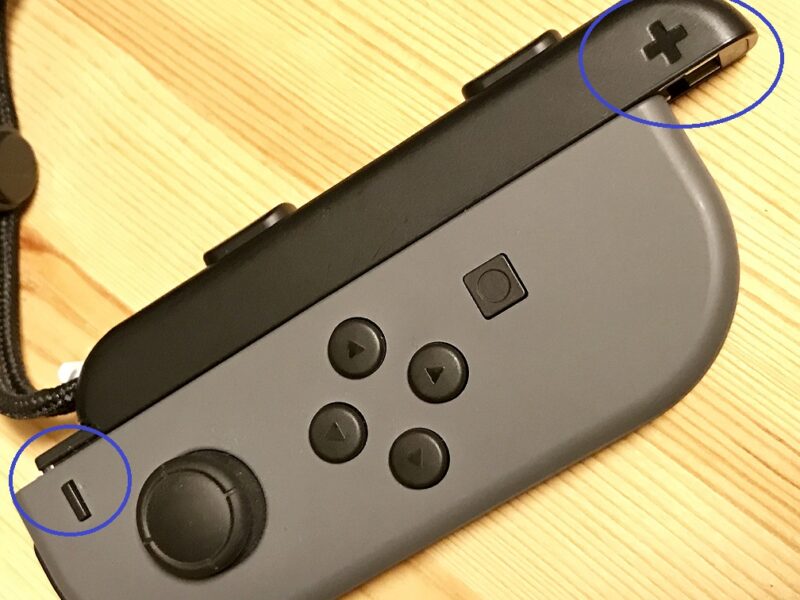 Nintendo Switch - 任天堂 Switch 本体 ジョイコン ストラップのみ